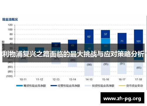 利物浦复兴之路面临的最大挑战与应对策略分析