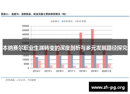 本纳赛尔职业生涯转变的深度剖析与多元发展路径探究
