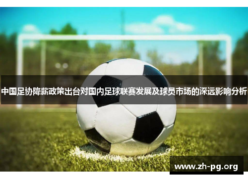 中国足协降薪政策出台对国内足球联赛发展及球员市场的深远影响分析