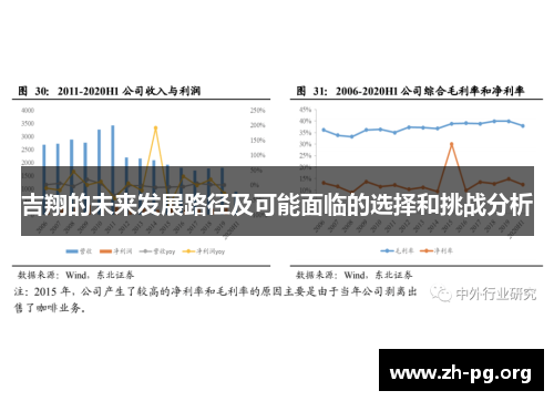 吉翔的未来发展路径及可能面临的选择和挑战分析