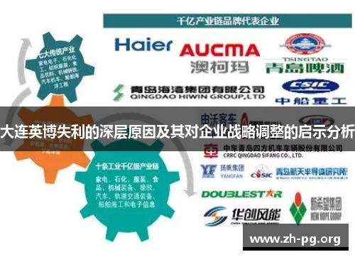 大连英博失利的深层原因及其对企业战略调整的启示分析