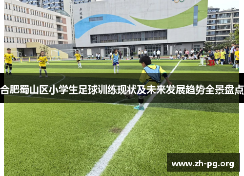 合肥蜀山区小学生足球训练现状及未来发展趋势全景盘点