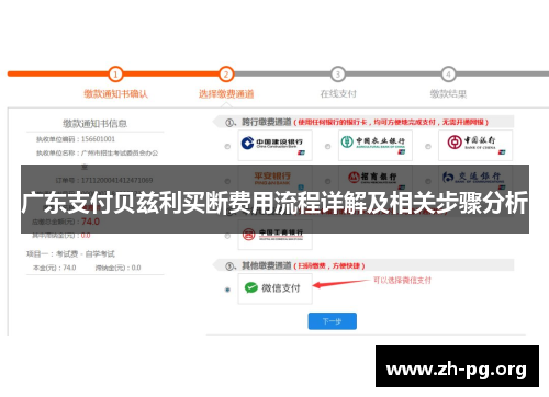 广东支付贝兹利买断费用流程详解及相关步骤分析