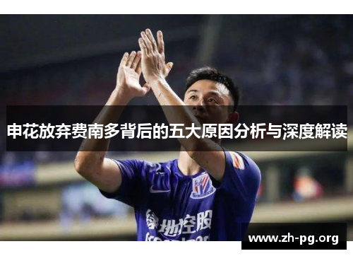 申花放弃费南多背后的五大原因分析与深度解读