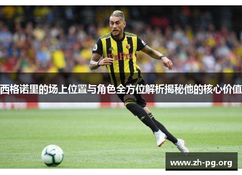 西格诺里的场上位置与角色全方位解析揭秘他的核心价值
