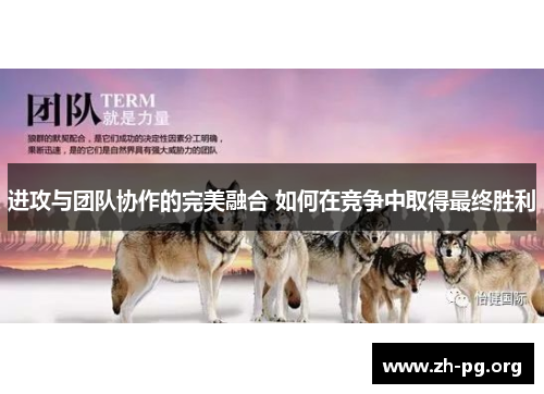 进攻与团队协作的完美融合 如何在竞争中取得最终胜利 进攻与团队协作的完美融合 如何在竞争中取得最终胜利