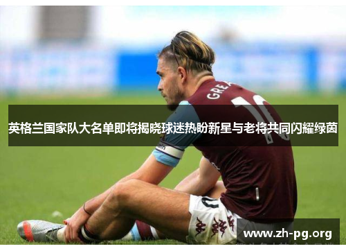 英格兰国家队大名单即将揭晓球迷热盼新星与老将共同闪耀绿茵