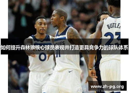 如何提升森林狼核心球员表现并打造更具竞争力的球队体系